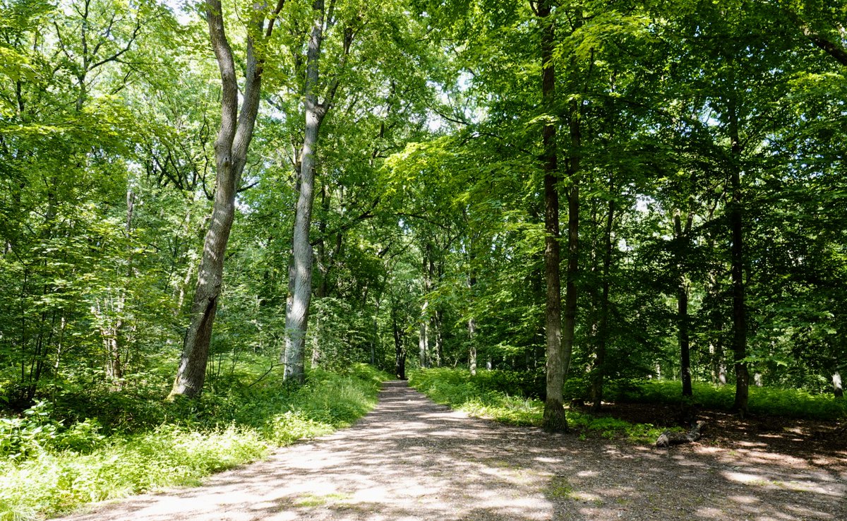 fotoaufnahme's tweet image. Entlang des "#Rotbach" und um den "#HiesfelderSee" gibt es ein gut ausgebautes Wegenetz für kurze und längere Spaziergänge -fahrten zu Fuß oder mit dem Rad.