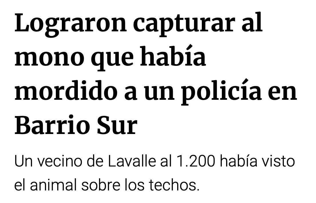 Mientras tanto, en Tucumán: