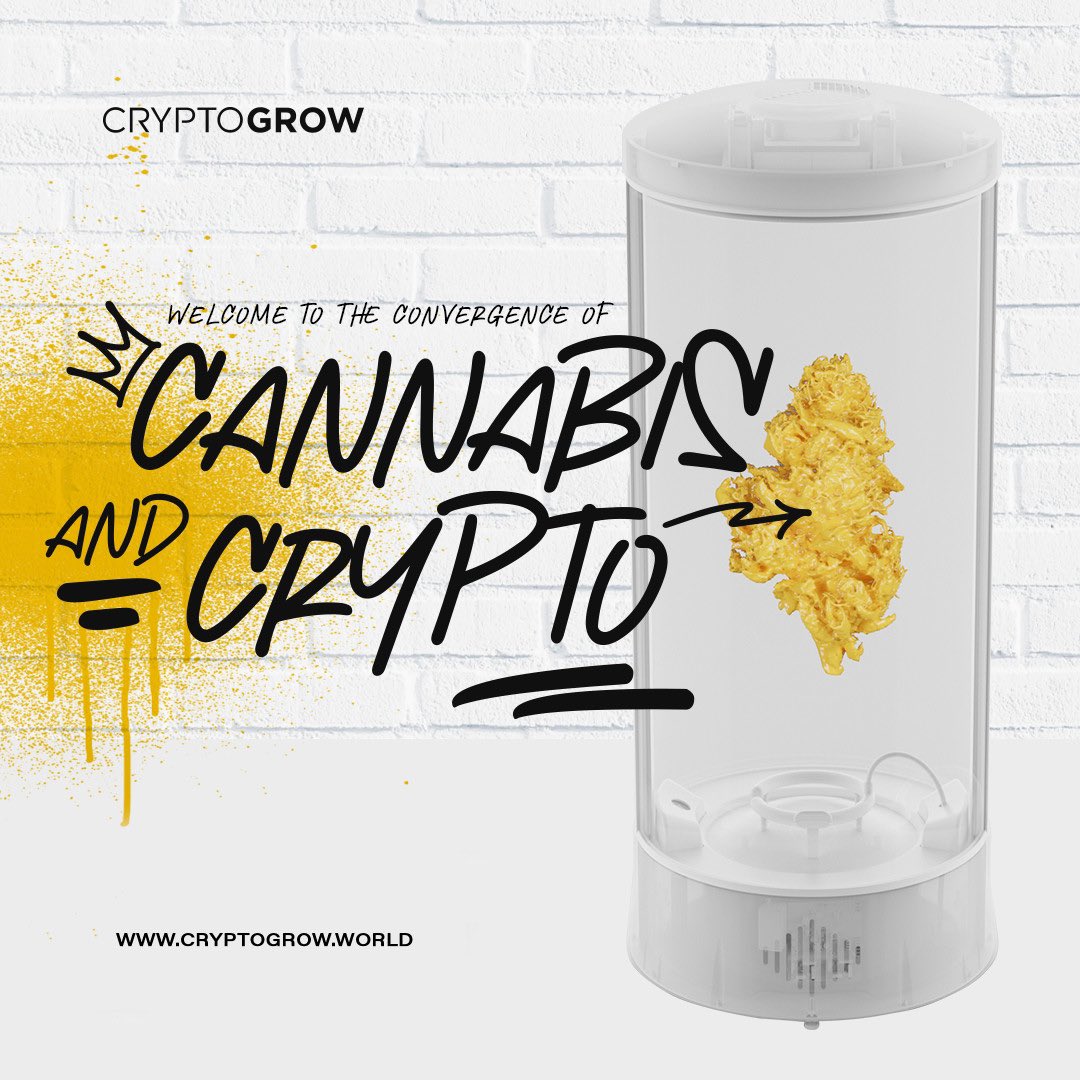 CryptoGrowNFT's tweet photo. CRYPTOGROW. Machines that grow weed🌿 NFTs that earn crypto💰

Welcome to the convergence of cannabis &amp; crypto.

A vision to decentralize growing cannabis. 

Let’s Grow Together 🤝 (1/7) https://t.co/EdJnO4i75g