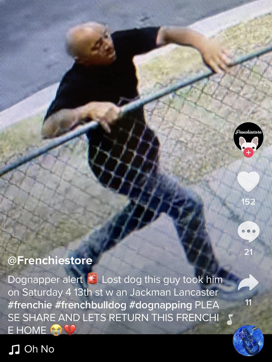 MissingFrenchie's tweet image. PLEASE RETWEET!!!!!

LANCASTER CALIFORNIA ~ STOLEN BLUE BRINDLE FRENCHIE 

TWITTER DO YOUR THING!!

LET’S GET THIS GUY!!!!!!

#frenchbulldog #stolenFrenchie
#lostdog
#Lancaster #frenchietwitter #stolenFrenchBulldog