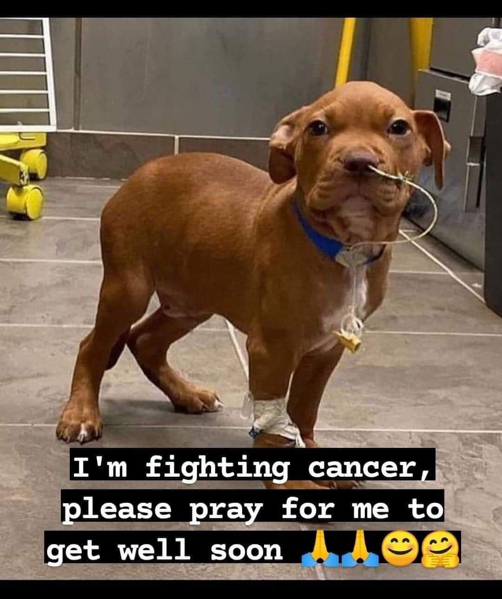 I'm fighting cancer , please pray for me to get well soon 🙏🤍🥰