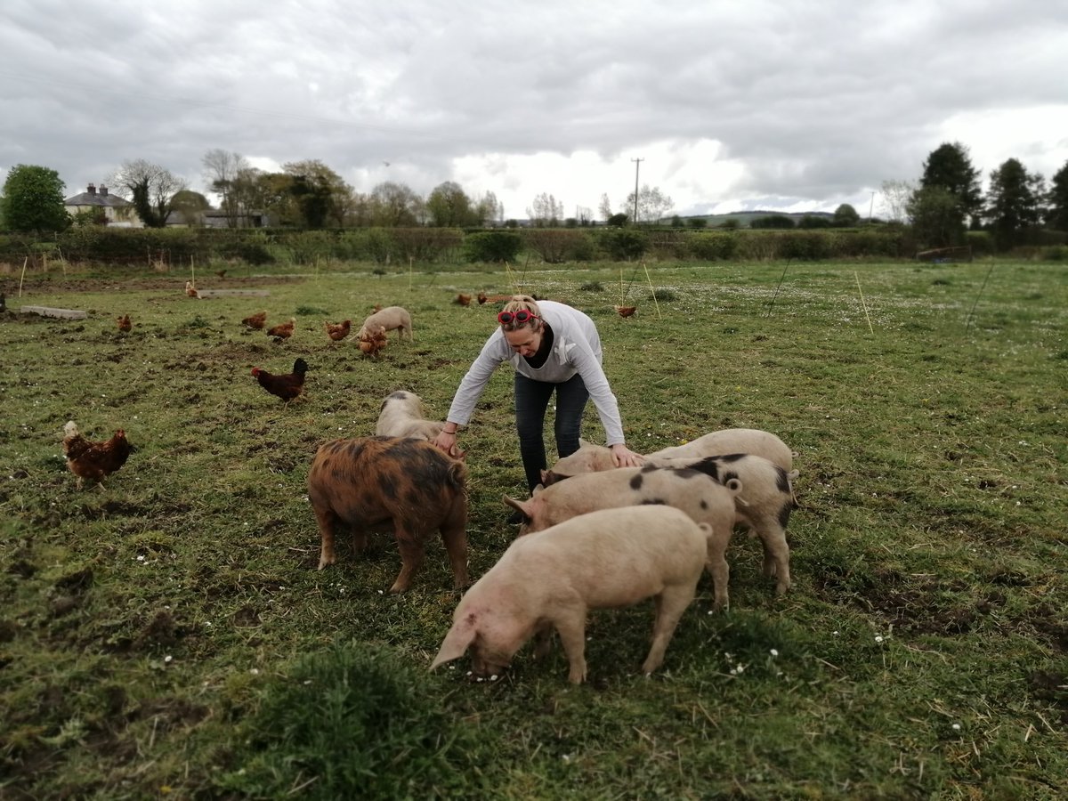 Print Van Go (@printvango) on Twitter photo Some exciting projects coming up this summer including a travelling residency with <a href="/clonmelapplefe1/">@clonmelapplefest</a> in partnership with <a href="/tippfood/">Tipperary Food Producers</a> network & funded by <a href="/artscouncil_ie/">The Arts Council / An Chomhairle Ealaíon</a> and 'The People's Garden', a <a href="/creativeirl/">Creative Ireland</a> project with the <a href="/clonoultyarea/">Clonoulty</a> Tidy Villages group <a href="/TipperaryArts/">Tipperary Arts Office</a> Some exciting projects coming up this summer including a travelling residency with <a href="/clonmelapplefe1/">@clonmelapplefest</a> in partnership with <a href="/tippfood/">Tipperary Food Producers</a> network & funded by <a href="/artscouncil_ie/">The Arts Council / An Chomhairle Ealaíon</a> and 'The People's Garden', a <a href="/creativeirl/">Creative Ireland</a> project with the <a href="/clonoultyarea/">Clonoulty</a> Tidy Villages group <a href="/TipperaryArts/">Tipperary Arts Office</a>