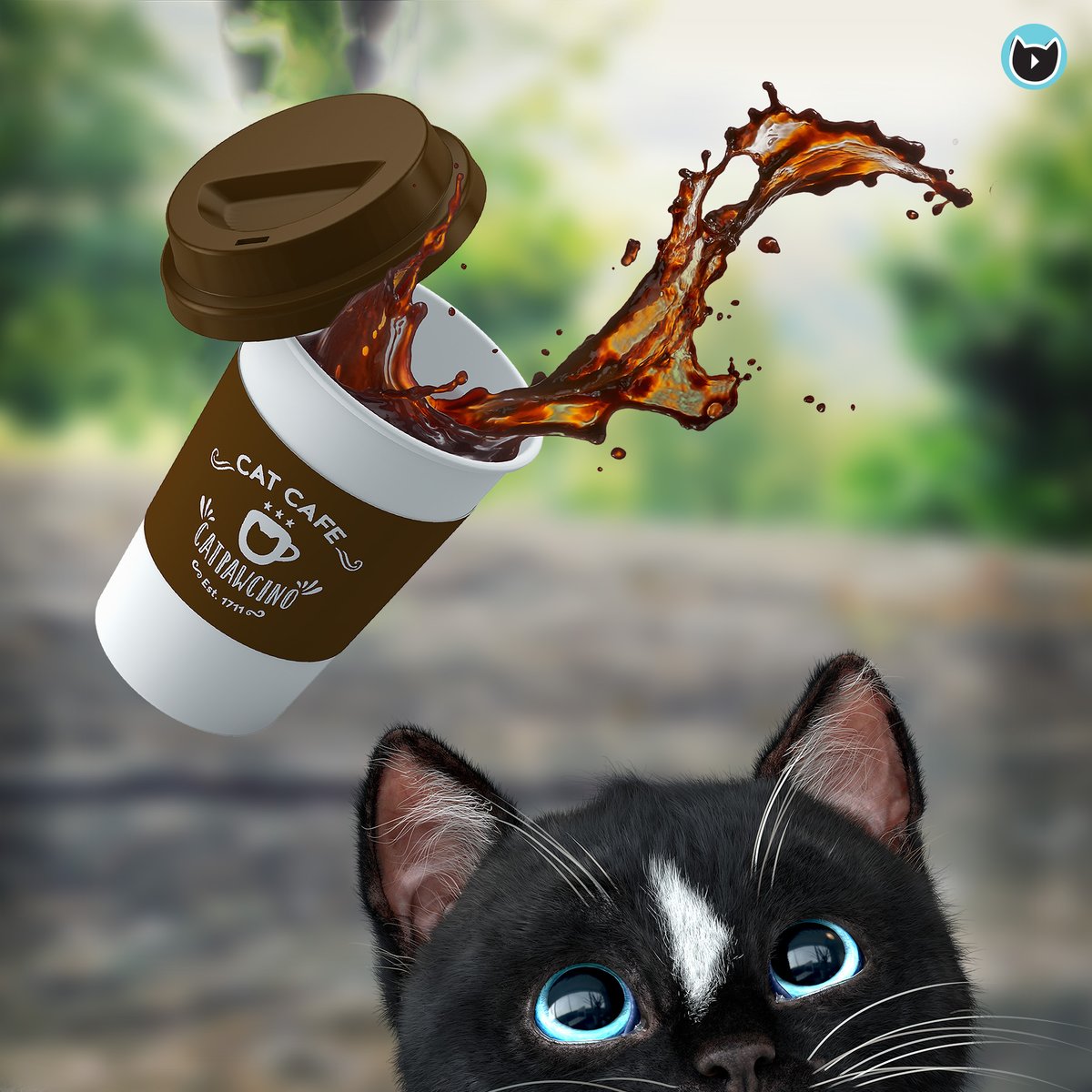 FeliniRocks's tweet photo. Happy #Monday! Let's start the week with a nice coff...Ooops!
#kittycats #lolpets #meow #funny #CatsOfTwitter https://t.co/eJ0K2ngHdP