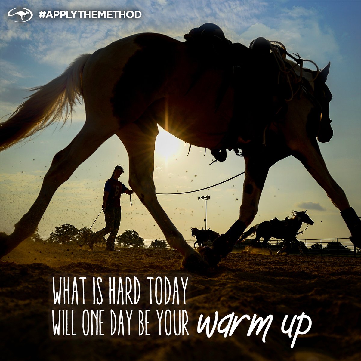 DownunderHorse's tweet photo. 💪 #ApplyTheMethod #motivationmonday #clintonanderson #downunderhorsemanship https://t.co/4fjBBPaVq9