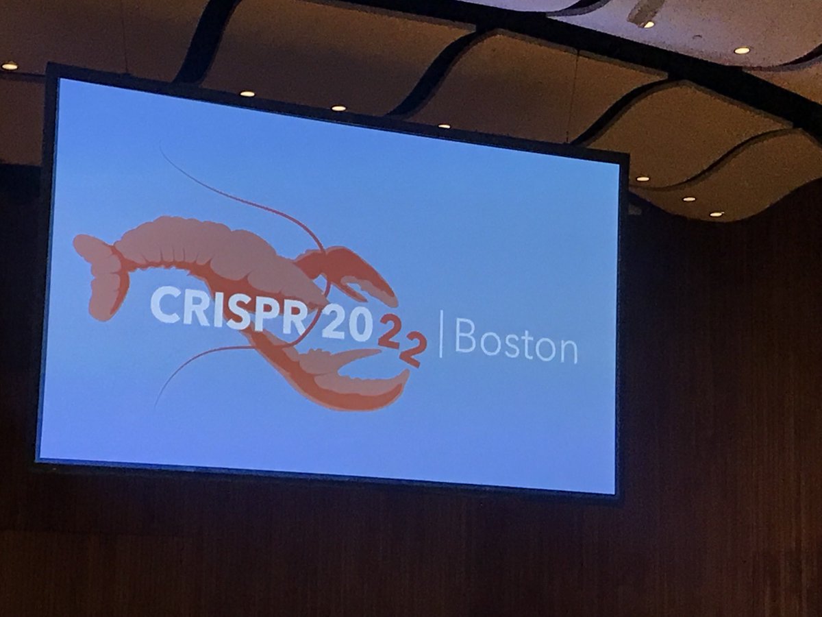 smoineau's tweet image. Hello CRISPR meeting, long time no see ! #CRISPR2022