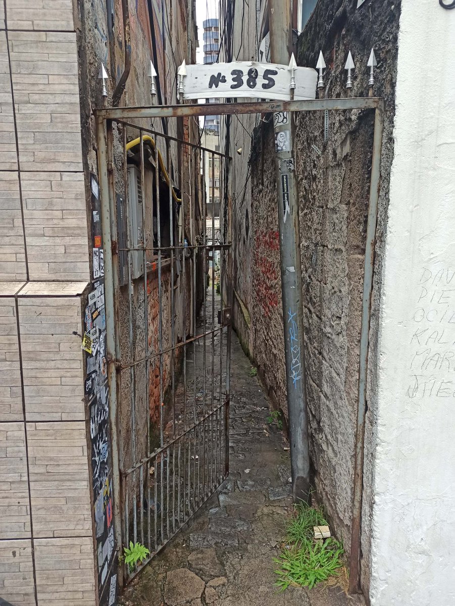 Nanny 🌻🦊 tweet media