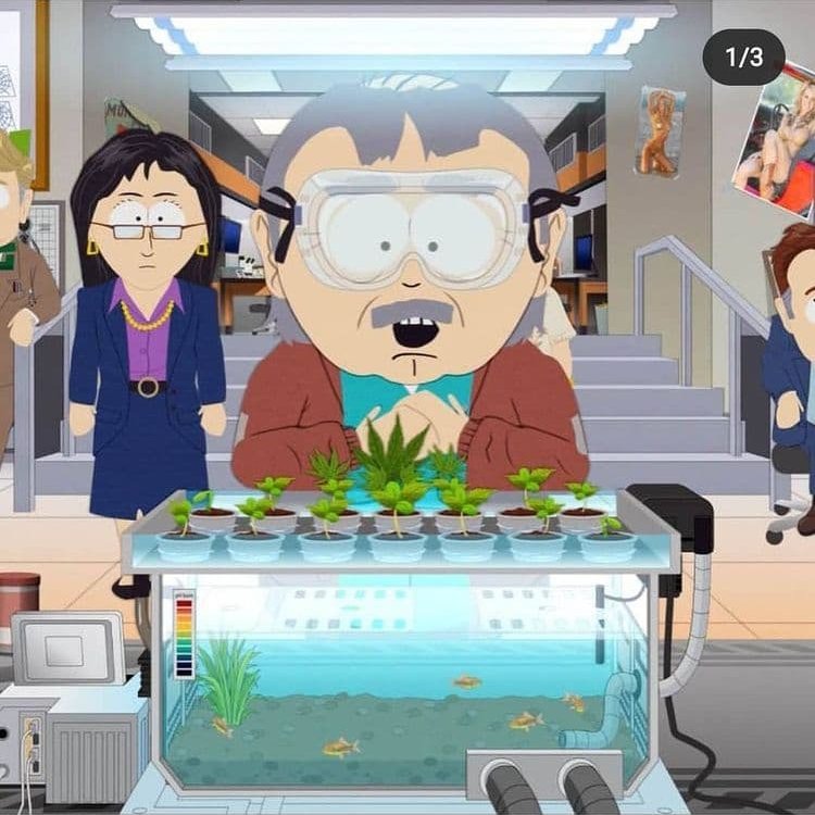 When they use #Aquaponics to rapidly grow cannabis in <a href="/SouthPark/">South Park</a>...
Cc <a href="/tegridyfarms/">Tegridy Farms</a>