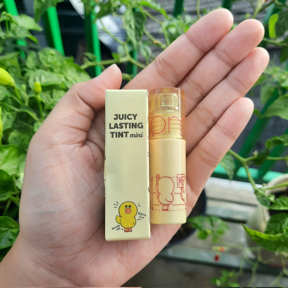 Happiestmurni's tweet photo. #NewInStash kali ini dimeriahkan oleh Rom&nd pertamaku!🌻🪴
Rom&nd x Line Friends Juicy lasting tint mini🥰 Aku pilih shade nomor 13 Eat Dotori, warnanya cantik banget kayak brick reddish brown trs aku lihat ada hint oranye dikit..
Belinya PO kemarin di mbak @brick_velvet ❤️❤️ https://t.co/ex8ShVlwZg