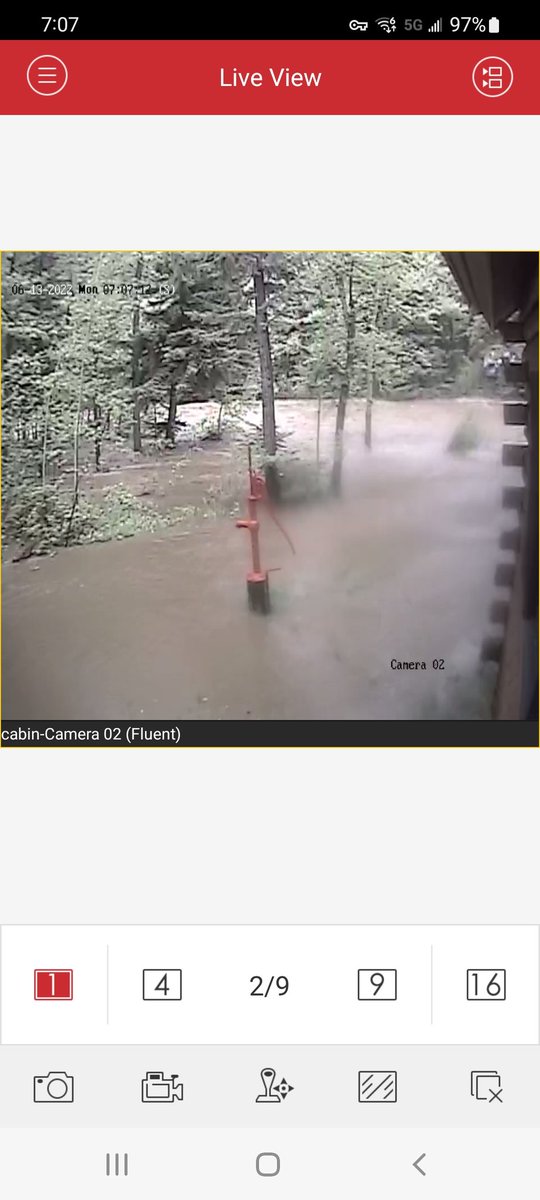 Jeff Essmann tweet media