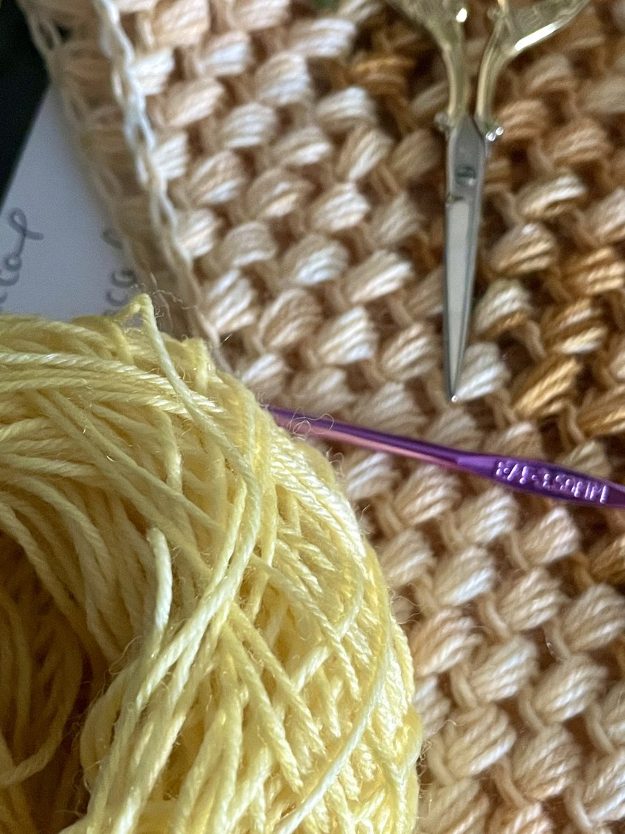 Hypothetical genes and hypothetical stitches.