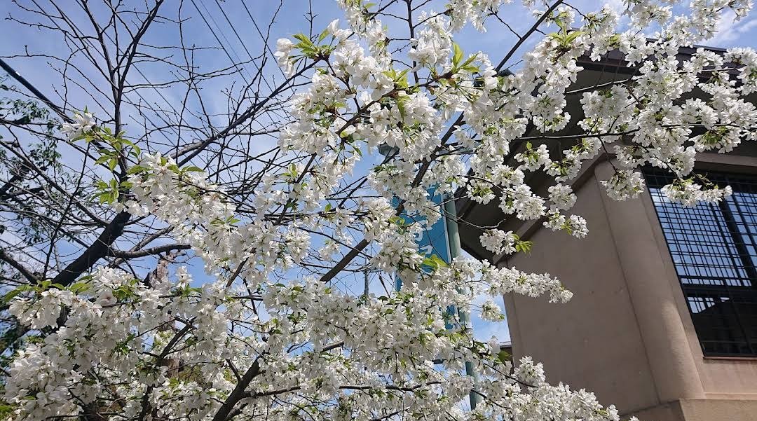 Yoz2304's tweet photo. この素敵な場所をありがとう https://t.co/yPDs64xnfS