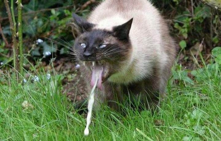 PatrickGHG tweet media