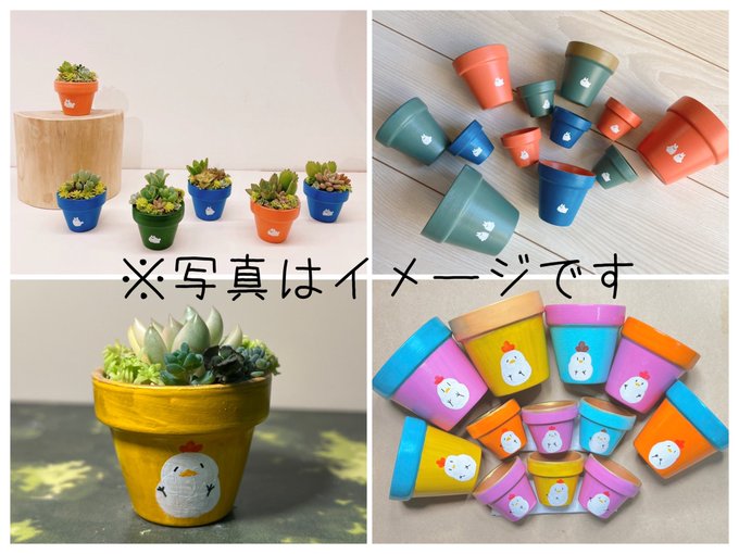 多肉植物の寄せ植えのtwitterイラスト検索結果