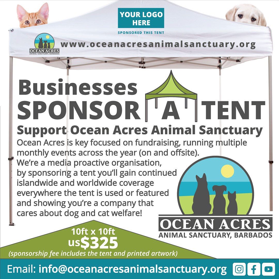 We're looking for companies to sponsor tents to be used at our many fundraising events.💙
They're vital for attendees to shelter from the sun and rain, allowing us to run more events and raise more funds to help our work. 
oceanacresanimalsanctuary.org/corporate-tent…

#barbados #barbadosbusiness #csr