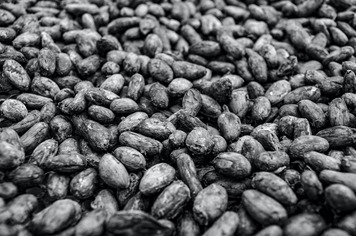 Terradigm Consulting tweet media