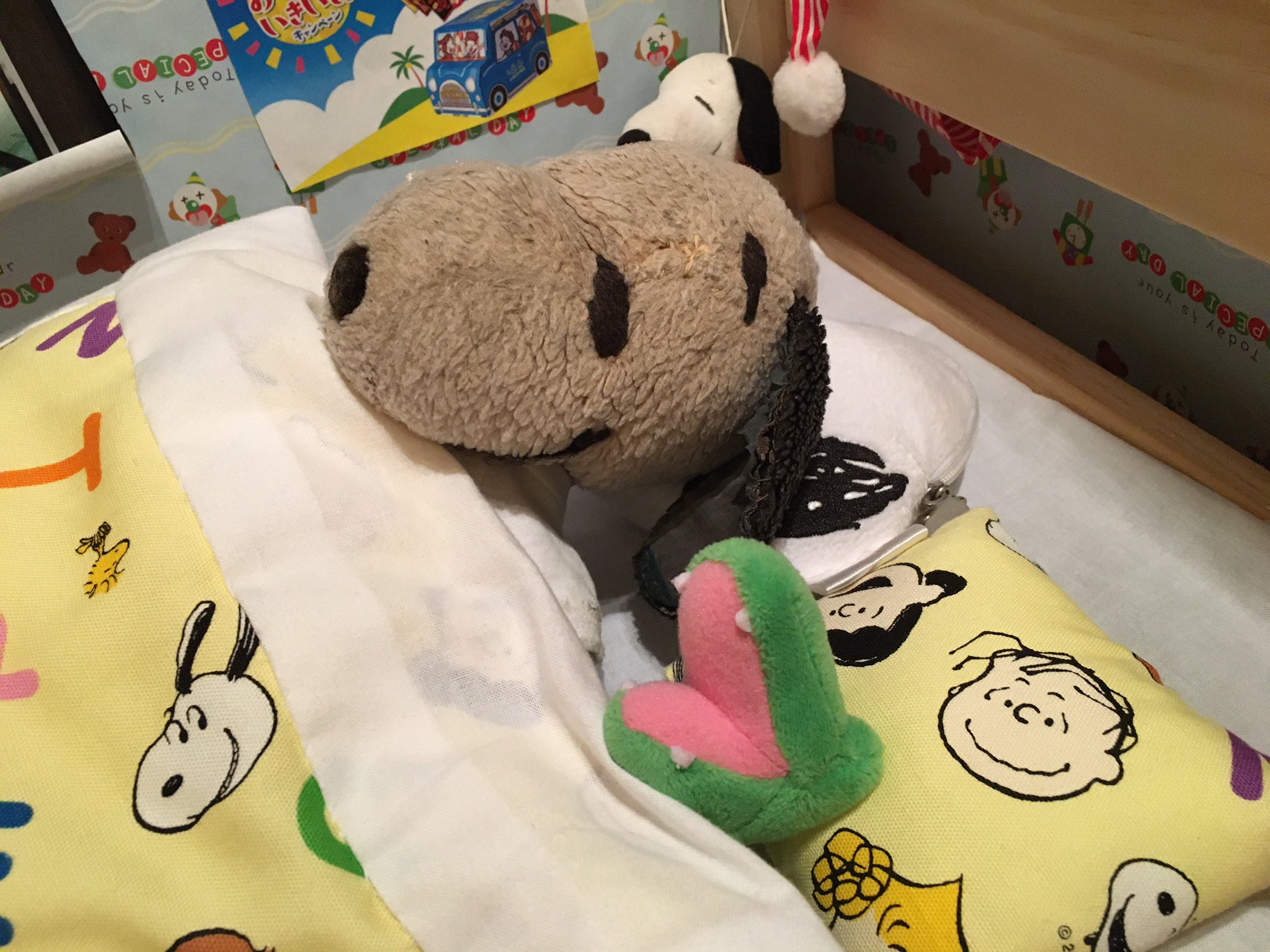 スヌーピーセレクトkuma Xplast Com Py