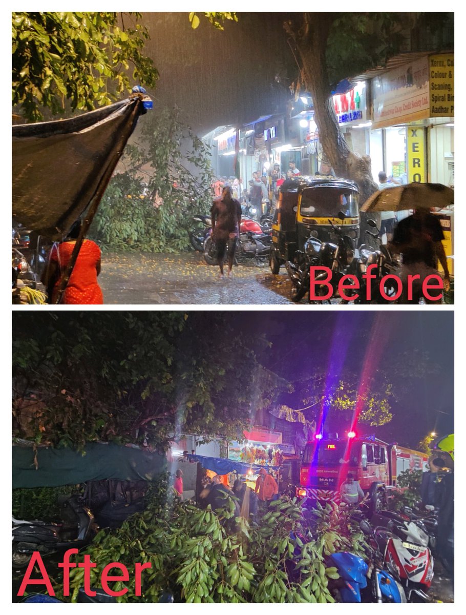 Bjp4Ward71's tweet photo. With the help of and support of MLA Ameet Satam  ji, Corporator Aneesh Naval Makwaaney ji, Nilesh Gurav ji,Swati Gamare ji Saurabh Dave ji and team Bjp4ward71  lifted the tree  which had fallen due to rains at Indira nagar  Kkg marg Juhu
@BJP4India @narendramodi @Devendra_Office https://t.co/FnjUVSr81r