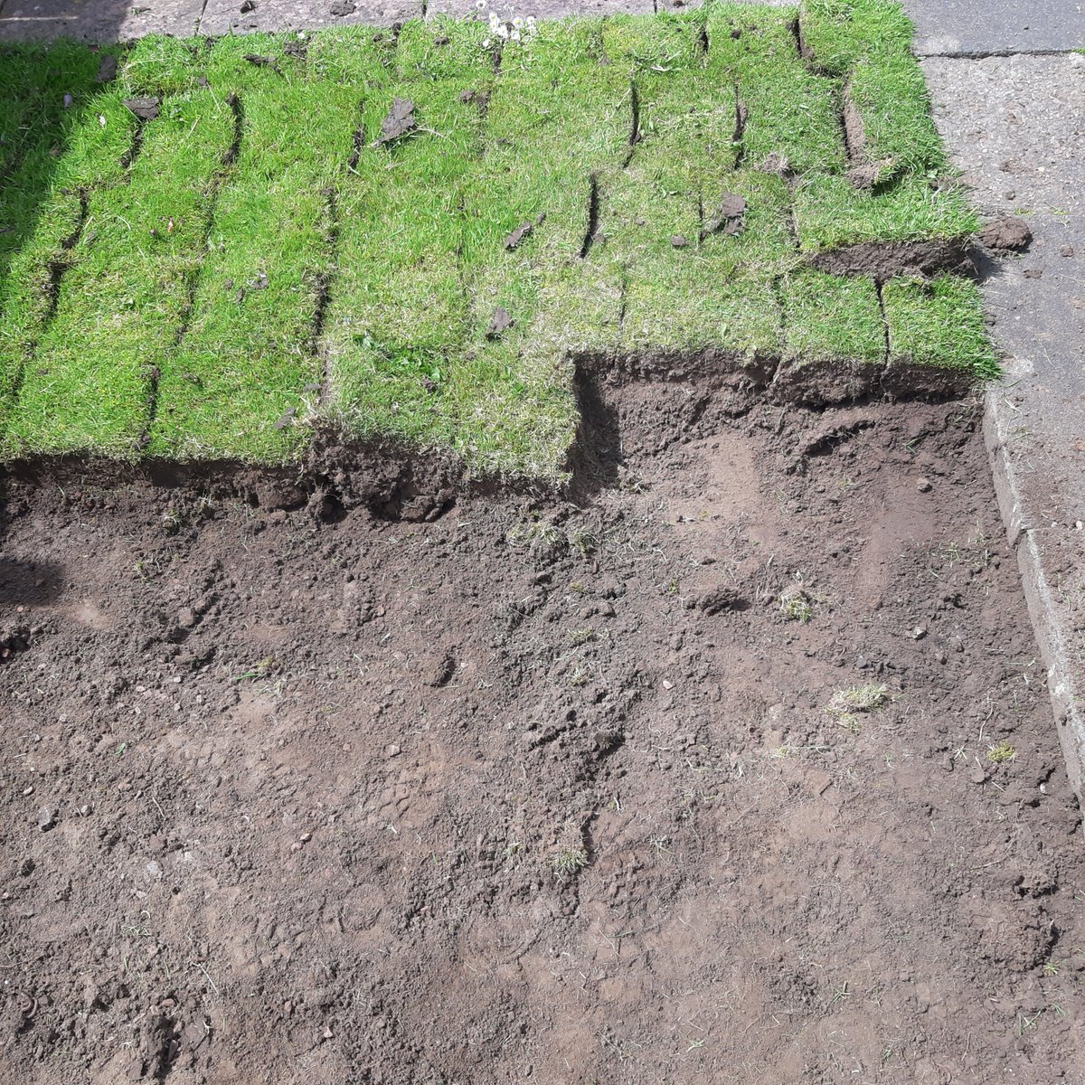 Ext_maintenance's tweet image. Day of digging out before the sub base goes in #digging #hardwork #newcastle