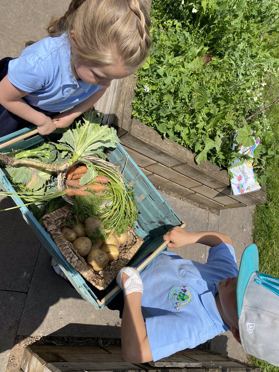 Monnow Primary School tweet media