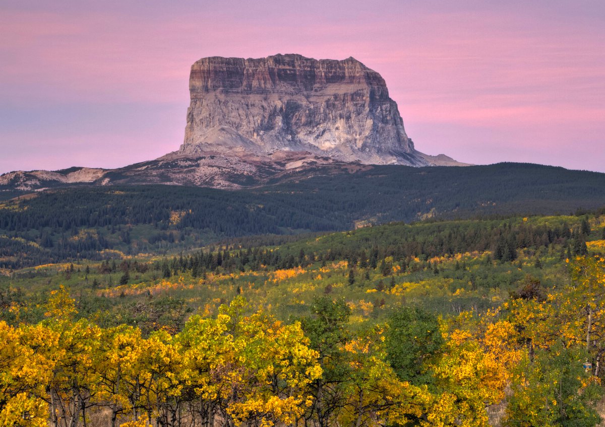 MarkKiver's tweet photo. Chief Mountain sunrise. https://t.co/aiH2kTV2ZZ #FindArtThisSummer #BuyIntoArt #GlacierNationalPark #Phtogographylovers #Sunrisephotography #Chiefmountain https://t.co/jrdzpMhvP6