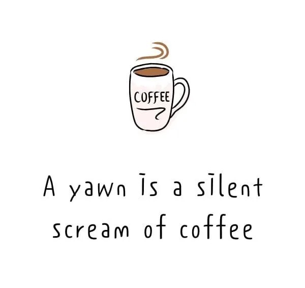 PrincessP99's tweet image. Grab a cup ☕🌞☺️