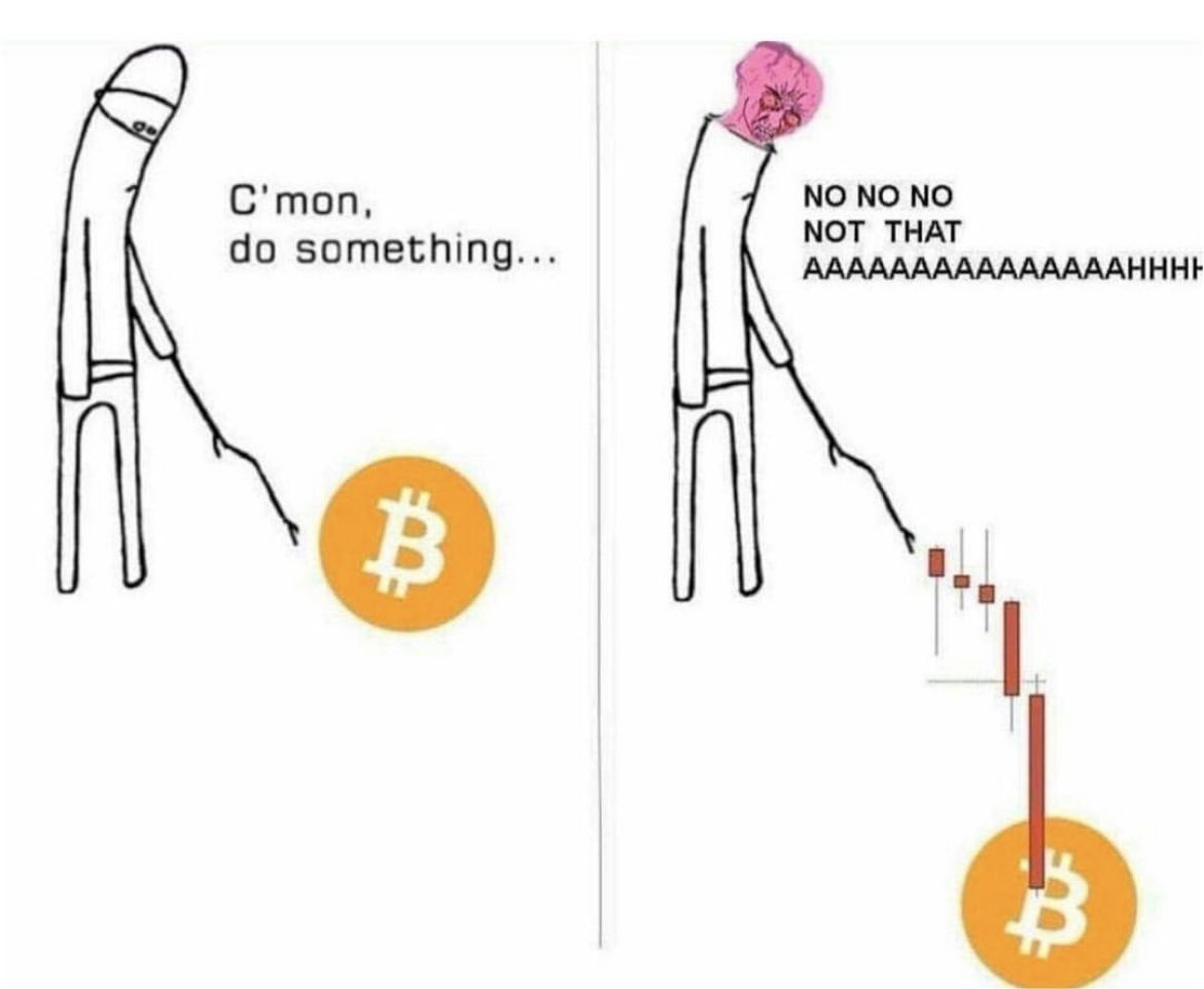 Onchain Growth Club (@onchaingrowth) on Twitter photo 