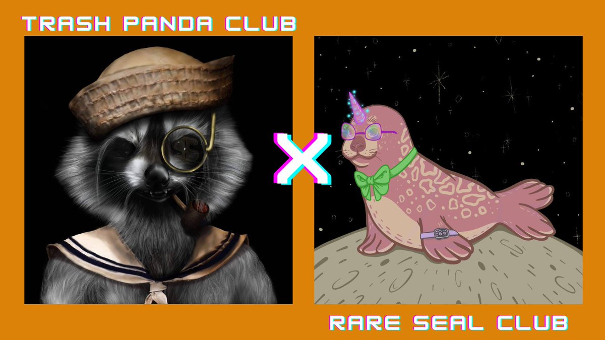 RareSealClub ⚡ PRESALE SOLD OUT tweet media