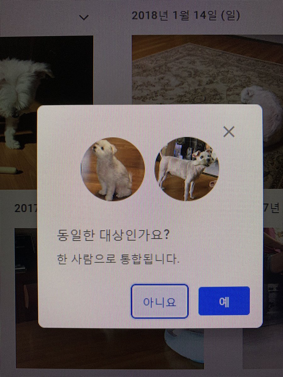 대통합