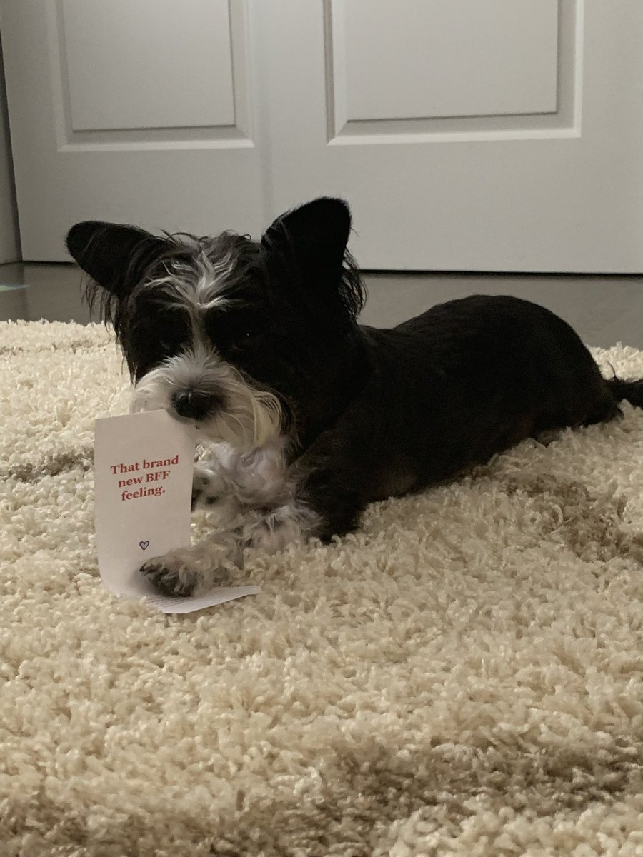 aceichman's tweet photo. Not a toy Moscow! But you are my BFF! @bookofthemonth https://t.co/miX3EBFMQO