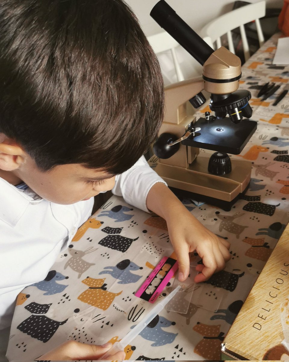 He keeps telling me he wants to be like <a href="/MarkRober/">Mark Rober</a> when he grows up.. I think he's on to that devils toothpaste recipe