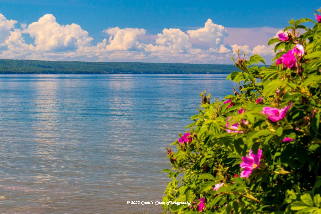 kit_kat1960's tweet photo. Summer has arrived in Scot’s Bay, Nova Scotia @CTVAtlantic @KalinMitchelCTV @weathernetwork #visitnovascotia #NovaScotia https://t.co/ORwB3UAihv