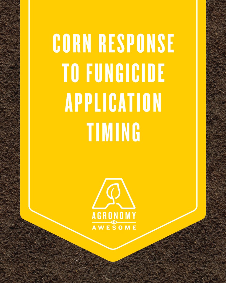 Asgrow_DEKALB's tweet image. If timing is everything, this 👇 #AgronomyIsAwesome article has it all. Find out how the application timing of Delaro Complete Fungicide impacts potential yield. 🌽 @BayerCropProUS #Agronomy #Grow22

dekalbasgrow.co/3MNWXGo