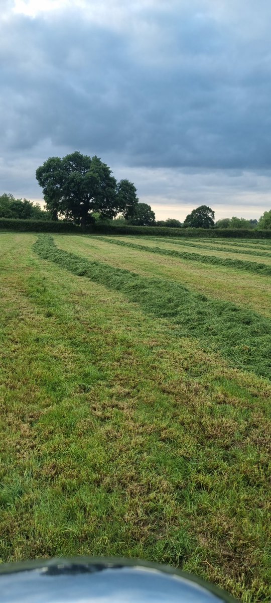 3rd cut baby.....
26 days since 2nd.
#multicut #pottinger #strautmann
#teamdairy #britishdairy #milk
#milkfromforage