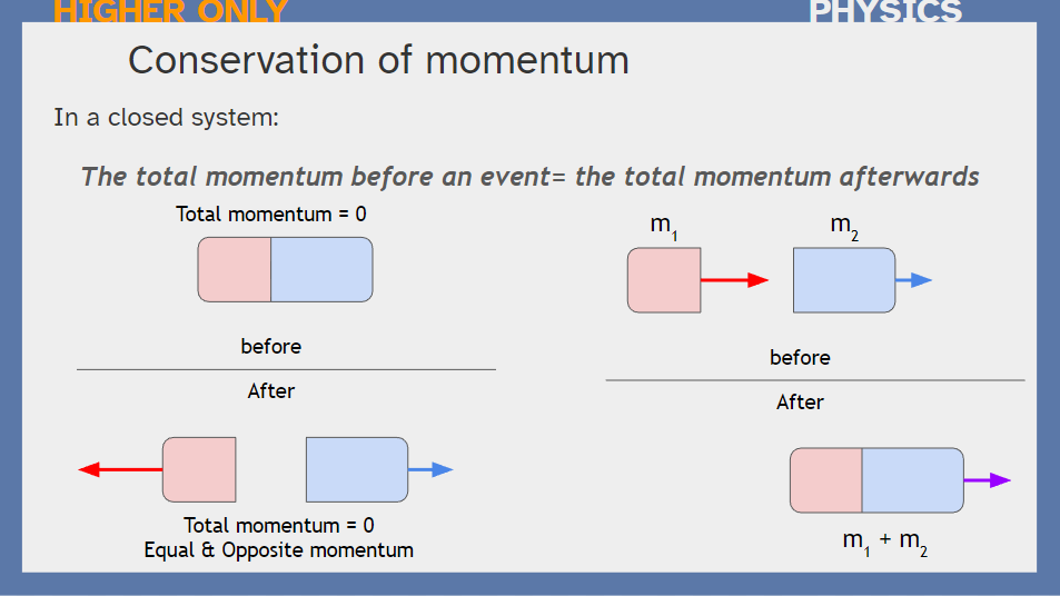 Mr Proctor @ SPA 🦄 tweet media