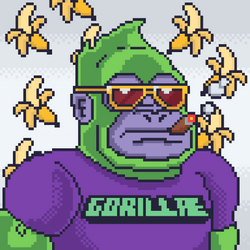 GorillaeDAO's tweet photo. GORILLAE #1857 SOLD! Price: ◎2.25. https://t.co/FLRH9Qvatv