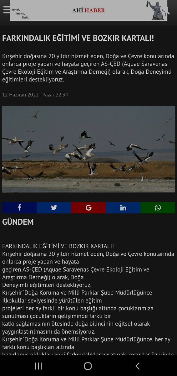 Bozkır Kartalı Koruma Projemiz Ulusal Basında!!

#conservation #osme #Awareness #steppeeagle #Turkey #birdlife #wwf #iucn #raptorconservation #raptor #nature
