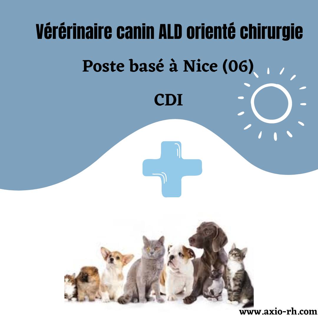 RhAxio's tweet image. 𝐎𝐟𝐟𝐫𝐞 𝐝'𝐞𝐦𝐩𝐥𝐨𝐢 𝐚̀ 𝐍𝐢𝐜𝐞  
V𝐞́𝐭𝐞́𝐫𝐢𝐧𝐚𝐢𝐫𝐞 𝐜𝐚𝐧𝐢𝐧 𝐚𝐮𝐭𝐨𝐧𝐨𝐦𝐞 avec 𝐚𝐭𝐭𝐫𝐚𝐢𝐭 𝐩𝐚𝐫𝐭𝐢𝐜𝐮𝐥𝐢𝐞𝐫 𝐩𝐨𝐮𝐫 𝐥𝐚 𝐜𝐡𝐢𝐫𝐮𝐫𝐠𝐢𝐞 ou 𝐬𝐩𝐞́𝐜𝐢𝐚𝐥𝐢𝐬𝐚𝐭𝐢𝐨𝐧
Offre complète c'est par 𝐢𝐜𝐢 : bit.ly/3HpmcNr