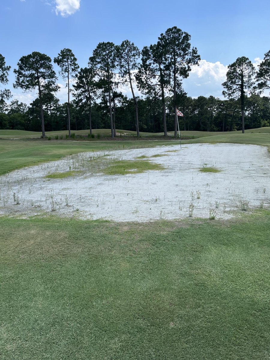 leegronk's tweet photo. @clubpro love how close we are to getting this green back. https://t.co/TOMAtdLxra