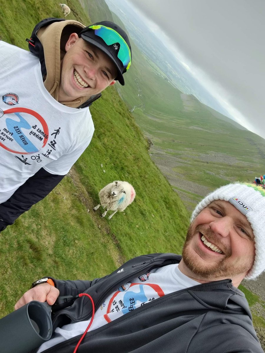 When you wake up to a valley full of sheep!