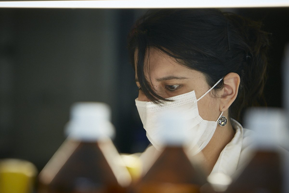 ¿Necesitás consolidar tu emprendimiento de base científica?

Anotate en el programa Élitros. Dura 4 meses y es de modalidad mixta: con mesas de trabajo virtuales y talleres presenciales.

Podés inscribirte hasta el 30 de junio. Conocé los detalles en: argentina.gob.ar/ciencia/seppCT…