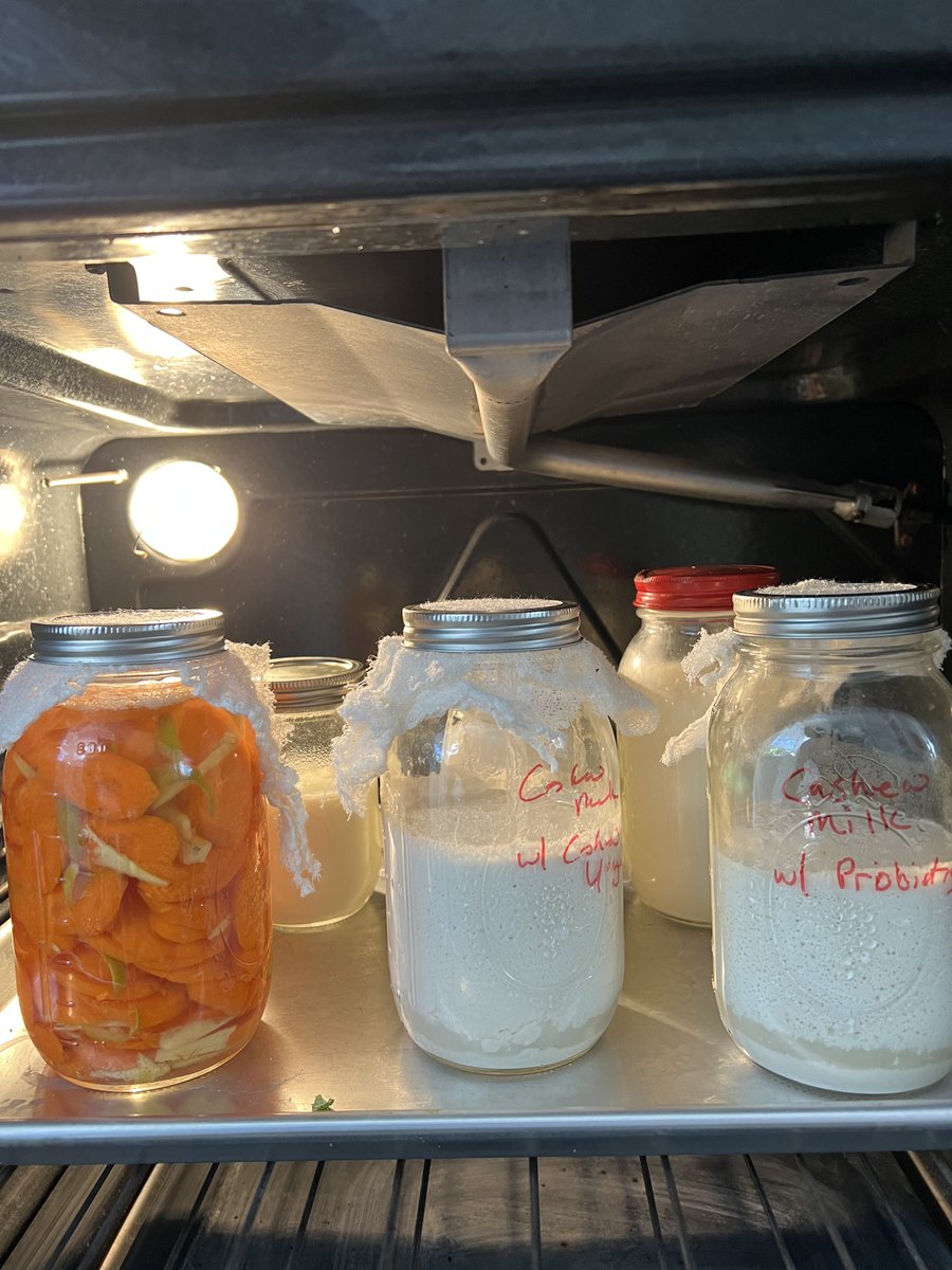 This week we have been creating fermented food recipes for the Foogal App, and to be used for Dr. Terry Wahls Multiple Sclerosis clinical trial. Fermented in the oven (off) overnight, so almost anyone can make these. <a href="/terrywahls/">Dr. Terry Wahls</a> <a href="/DrNicoleAvena/">Dr. Nicole Avena</a> <a href="/DrEdBauman/">Dr. Ed Bauman</a> @drrobertlustig