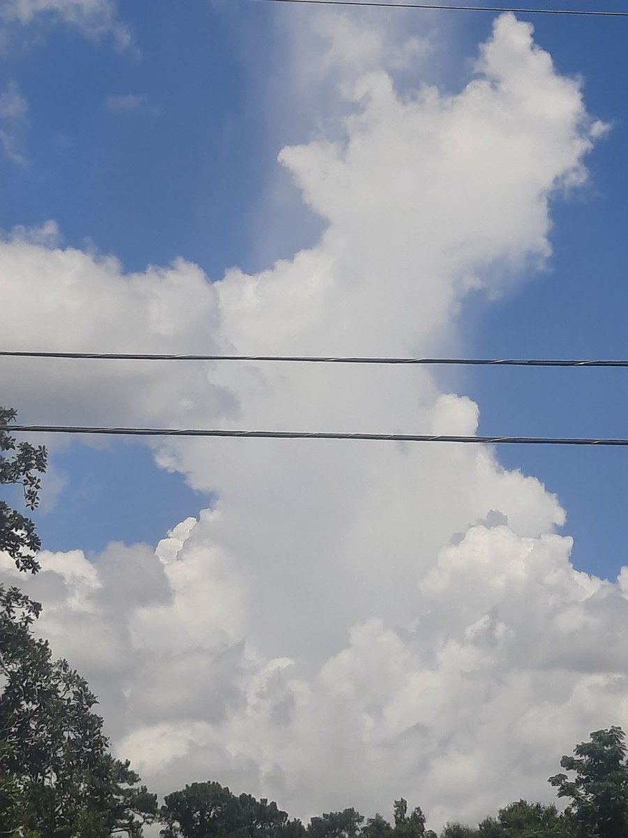 Pretty #clouds w/Virga & Rain falling thru beyond lines #JaxFL #firstalertwx #nature #StormHour #ThePhotoHour #AJSGArt #ViaAStockADay @WizardWeather @JAclouds @luketaplin42 @WilliamBug4 @cloudymamma @mypicworld @enjoyscooking @AngelBrise1 @tracyfromjax @PicPoet @EarthandClouds2