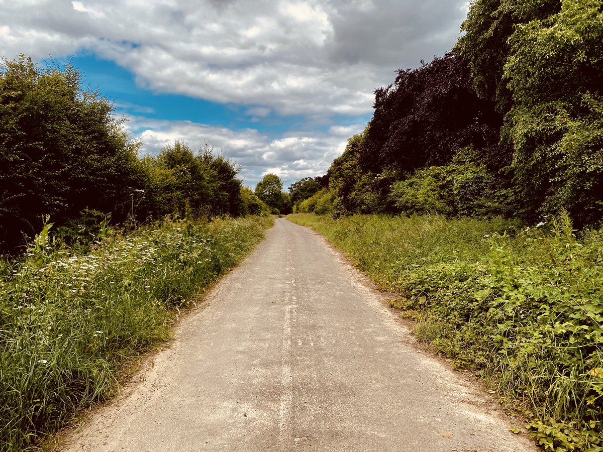 Dr Pete Gomes tweet media