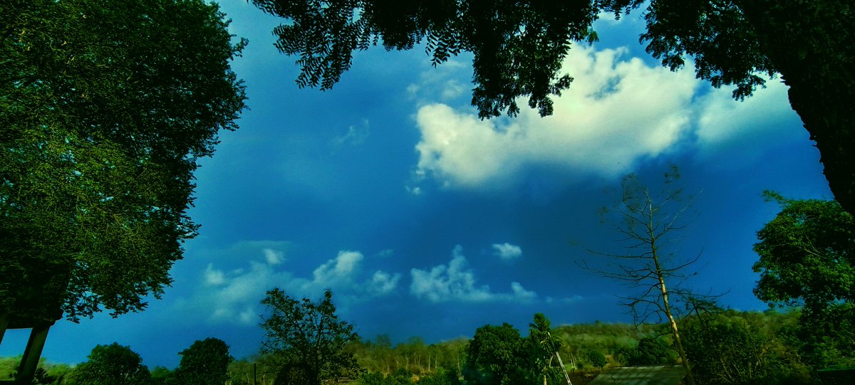 Rain 🌧️🌧️🌧️ come to with nature