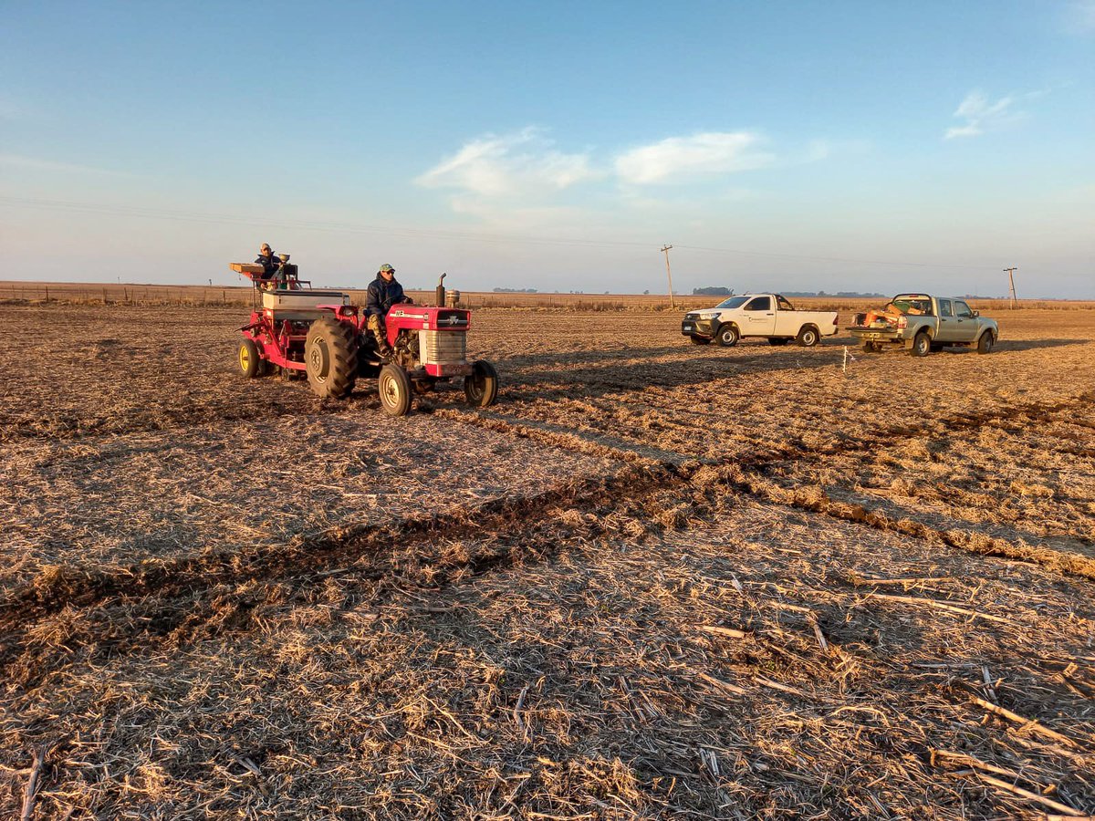 trybusagro's tweet photo. ¡Se vienen nuevos ensayos! A full con la siembra de trigo, cebada, carinata y arveja en nuestro campo experimental 💪🚜
#trybus #agro #9dejulio https://t.co/eyGQAMl9d4