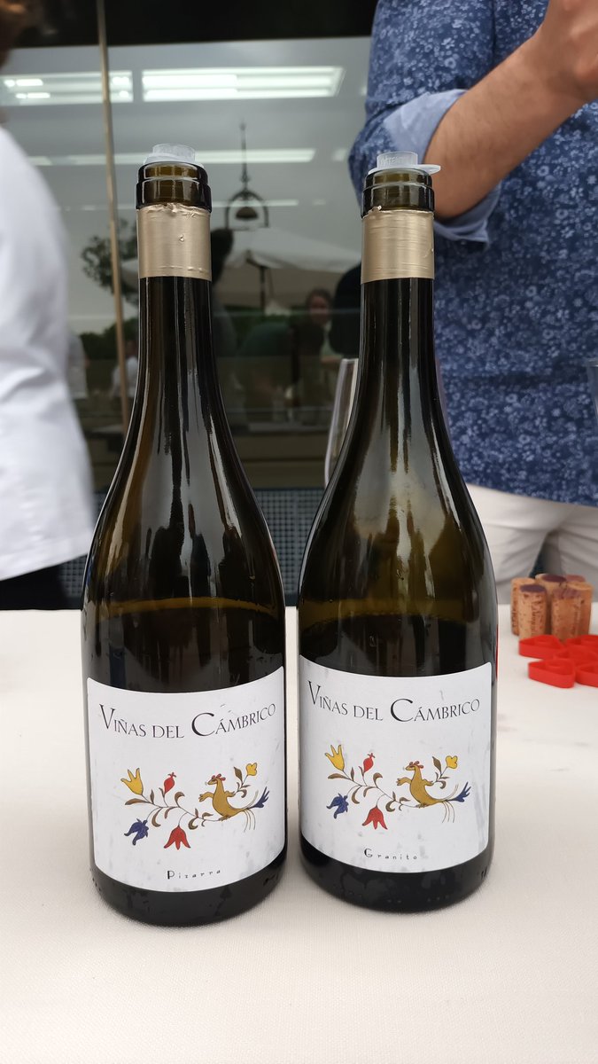 Por la Sierra de Francia descubriendo el potencial de la variedad Rufete, y también algunos blancos muy interesantes. Todo bajo <a href="/DOSalamanca/">DO Sierra Salamanca</a> con una original presentación 👍🍷
#vino #Salamanca