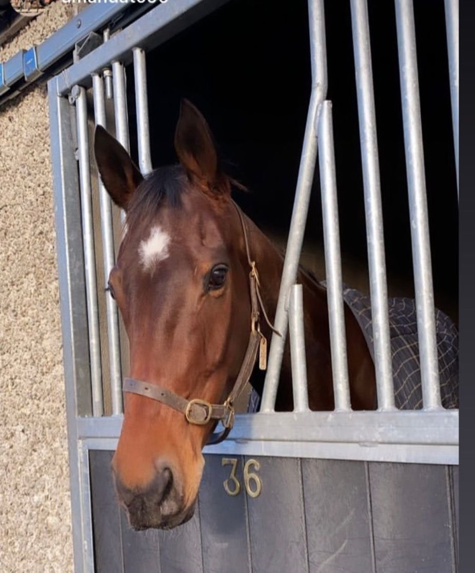 A big well done to owner Olivia O’Reilly and all the staff at home following the win of Miss Us O <a href="/KilbegganRaces/">Kilbeggan Races</a> tonight under a fine ride from Shane Fitz. Lovely for the mare to get her turn #keepkicking