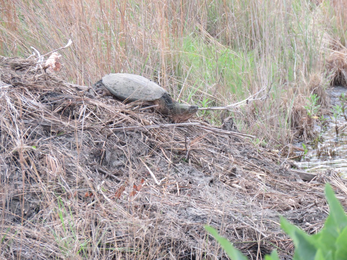 Mark Meeker tweet media