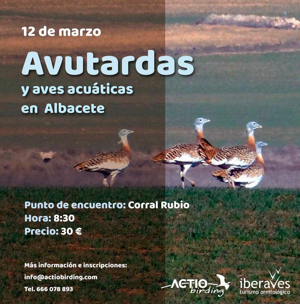 Albergue ACTIO tweet media