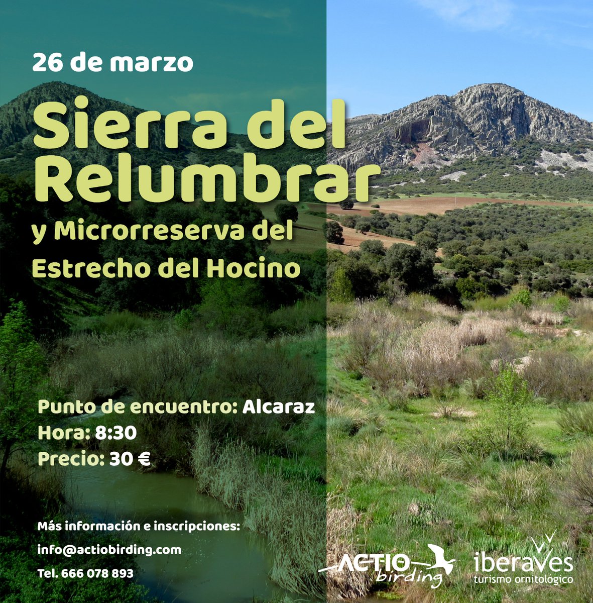 Albergue ACTIO tweet media